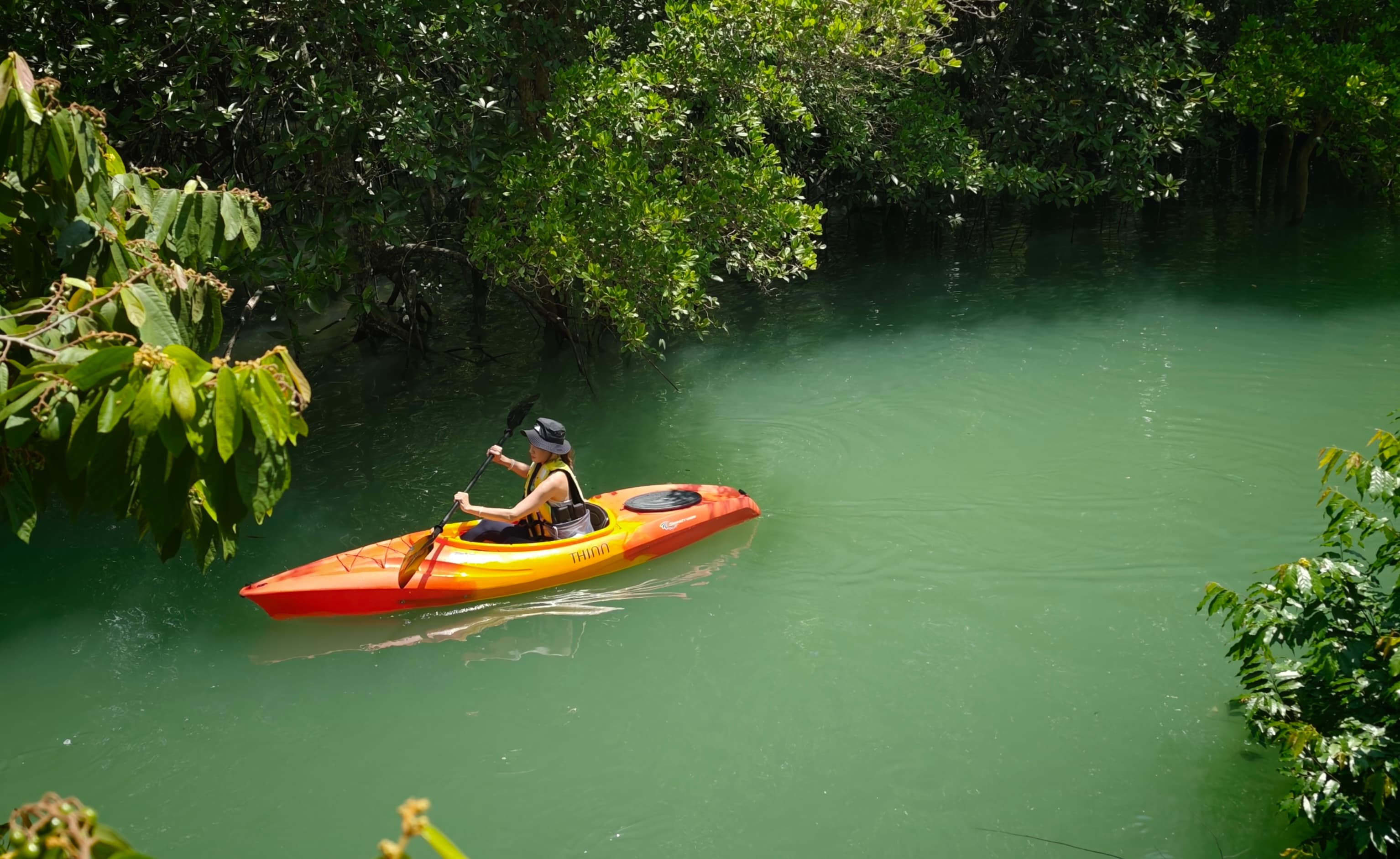Mangrove Kayak