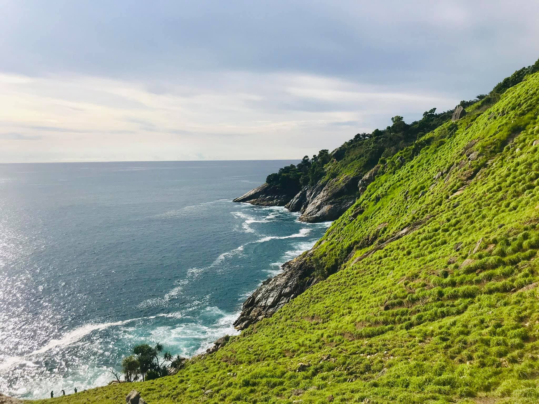 Golden savannah grass blowing in the warm coastal sea breeze along the cliff