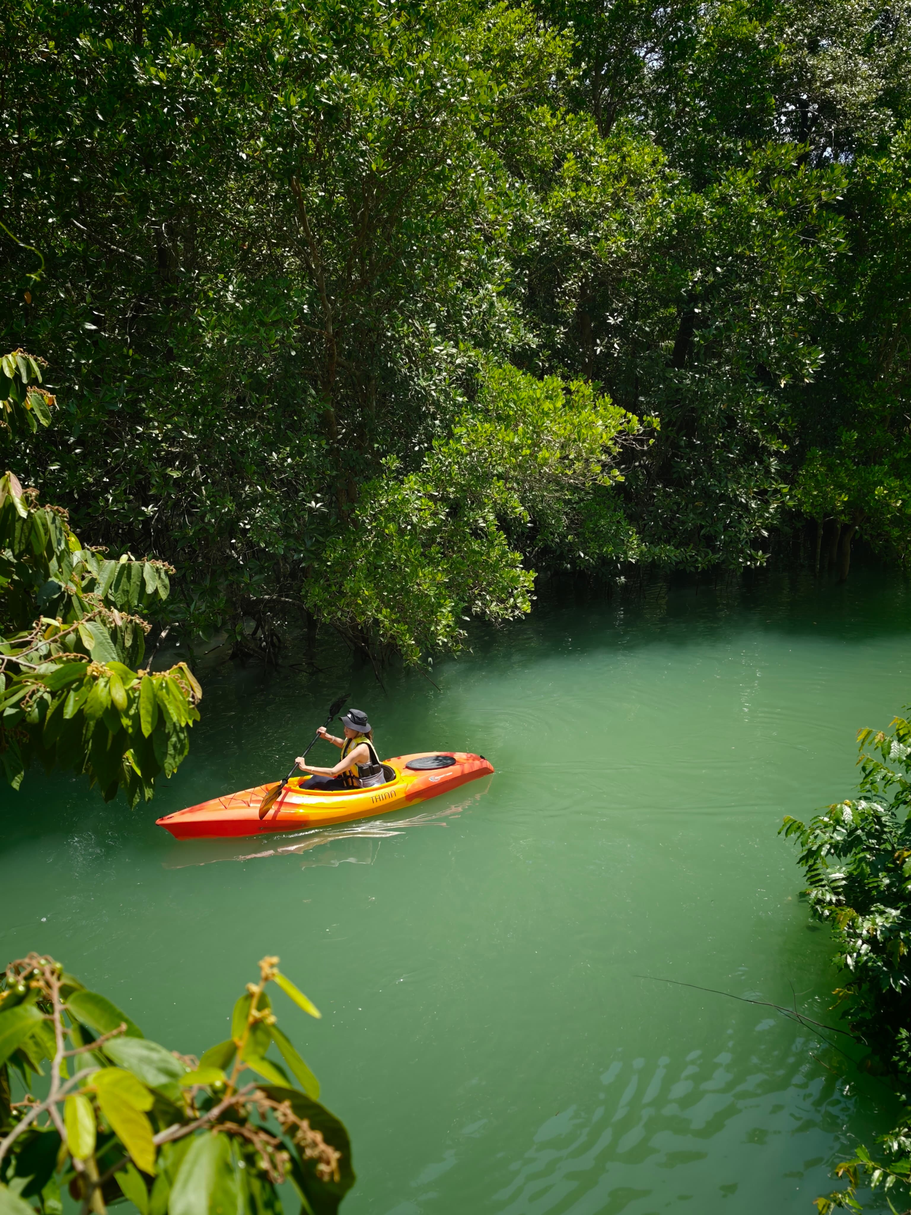 Phuket Mangrove Kayaking by THINN