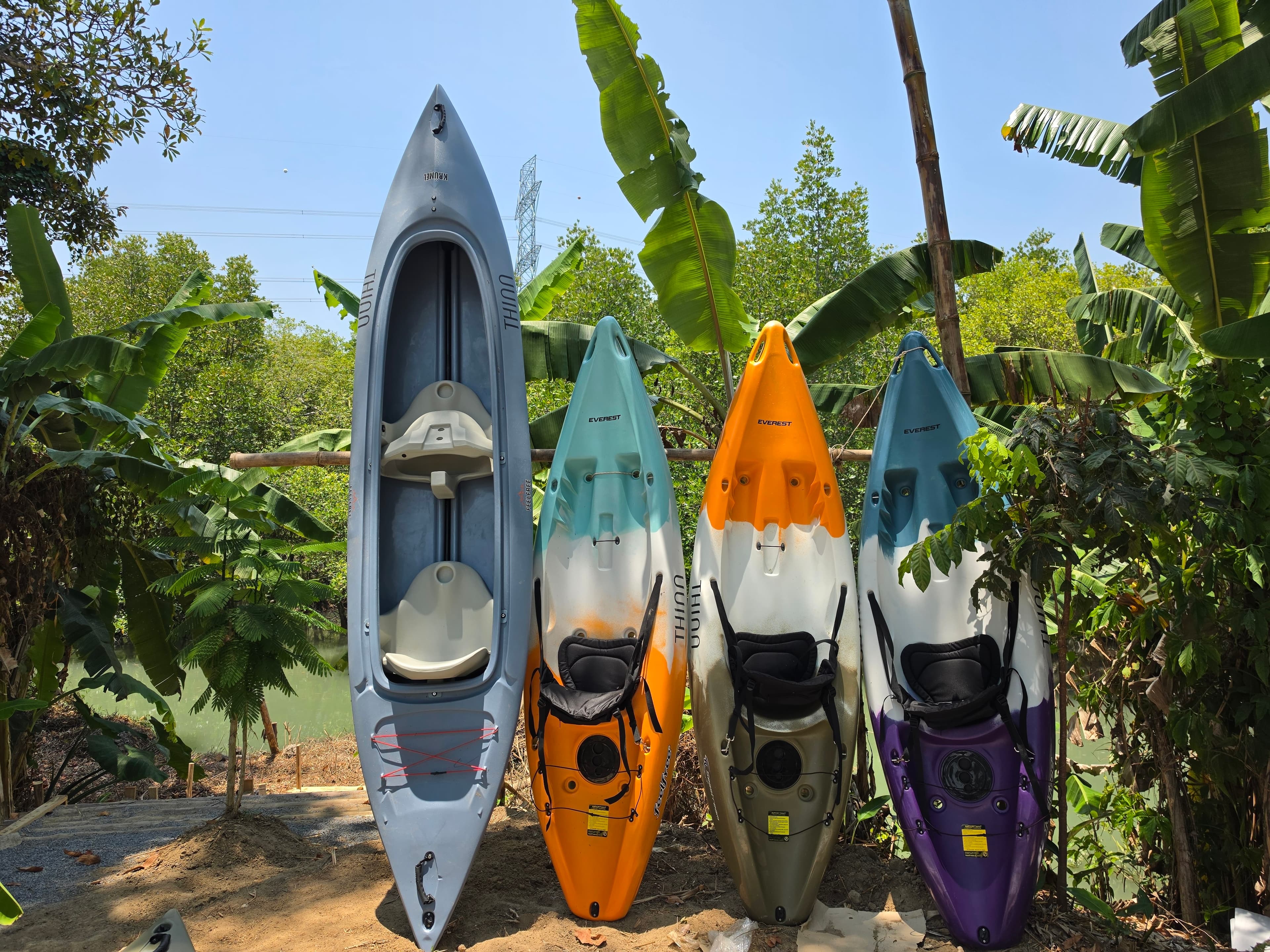 Phuket Mangrove Kayaking by THINN - Photo 2