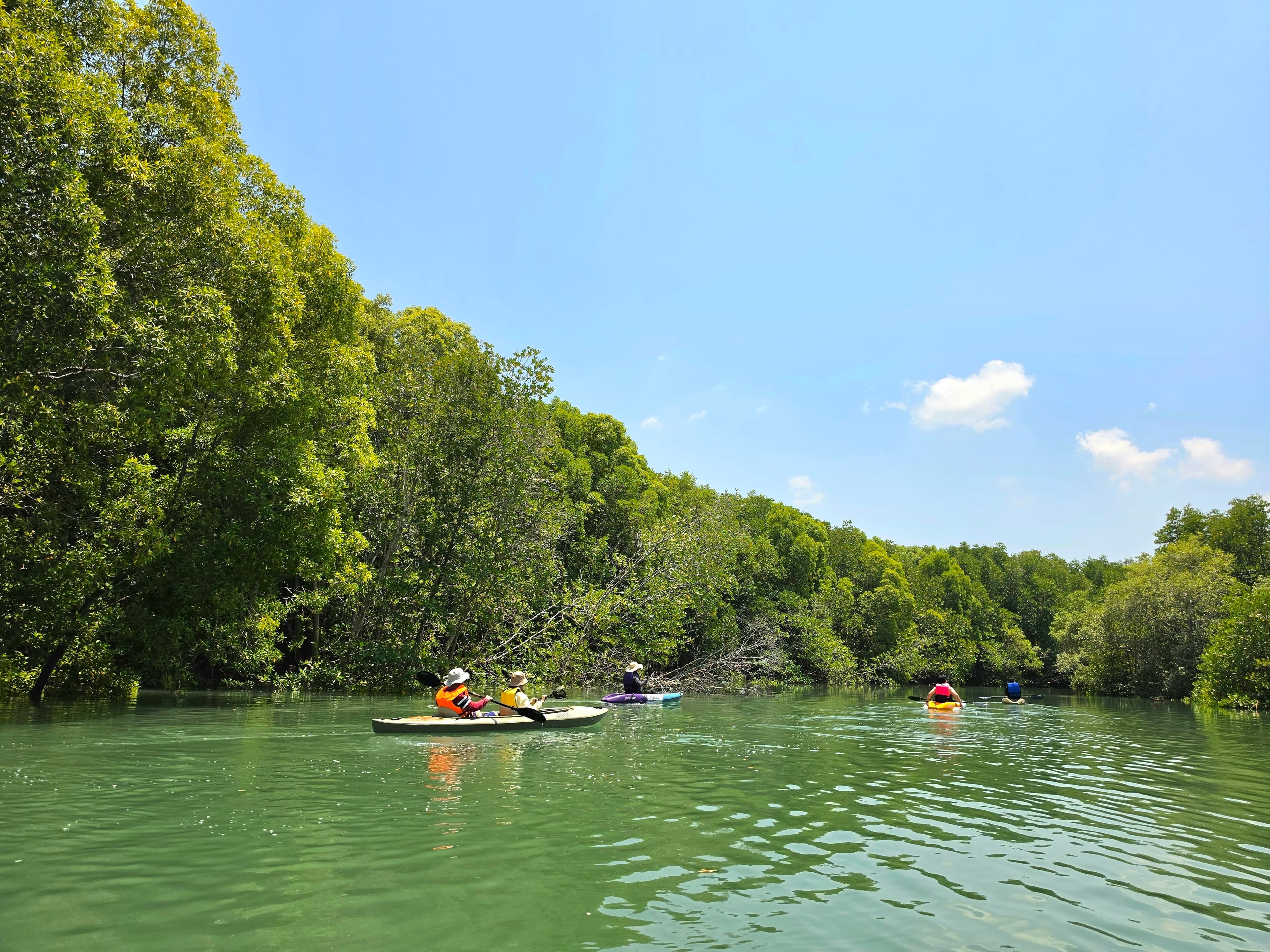Phuket Mangrove Kayaking by THINN - Photo 3