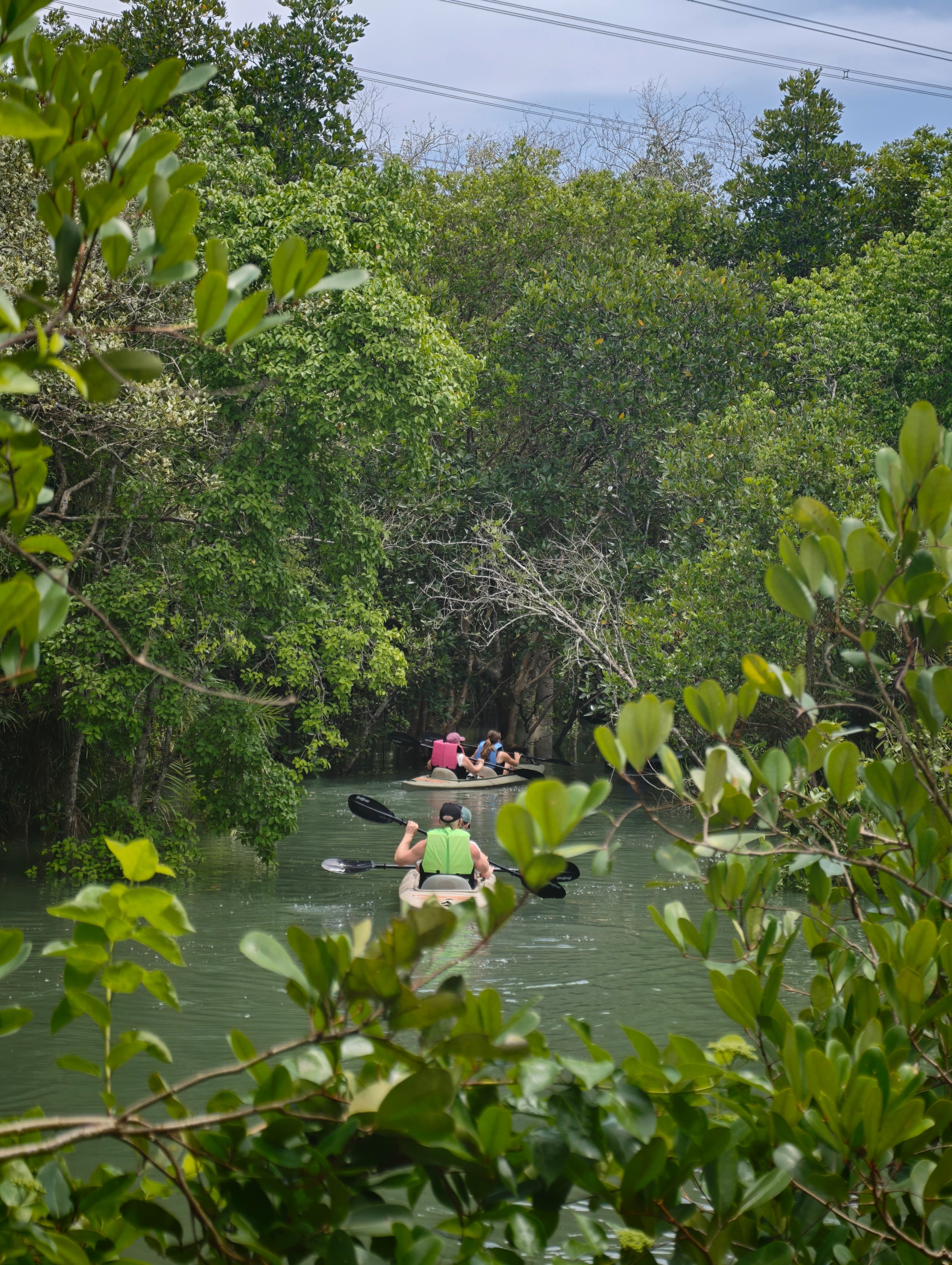 Phuket Mangrove Kayaking by THINN - Photo 5